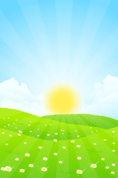 Green Landscape with Sun — Stock Vector