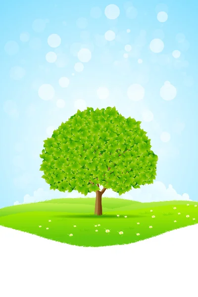 Grönt landskap med träd — Stock vektor
