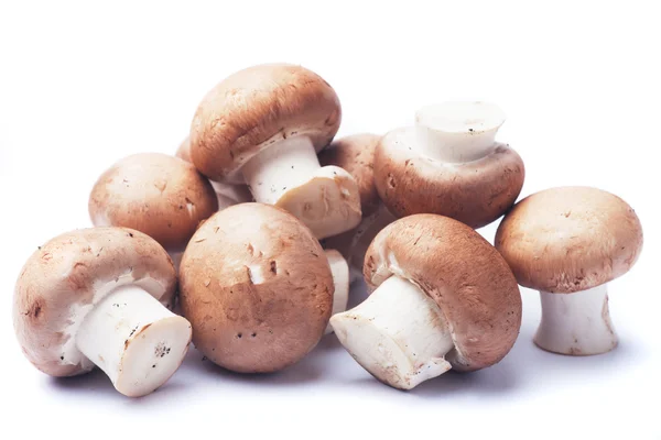 Champignons Portabello sur fond blanc — Photo