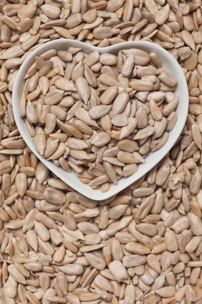 Sunflower seed — Stock Photo, Image