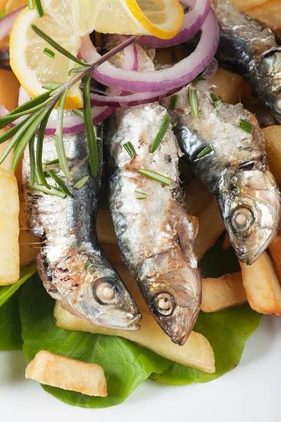 Grilled sardine fish with french fries — Stock Photo, Image