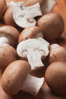 Portabello mantarları