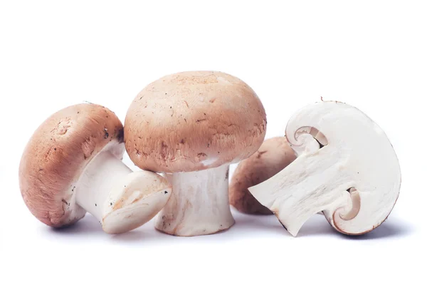 Cogumelos Portabello no fundo branco — Fotografia de Stock
