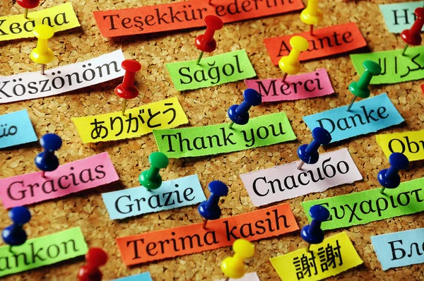 teşekkür ederim pin