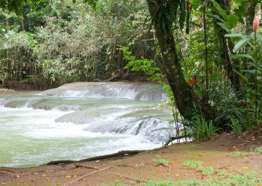 Jamaica. Dunn's River waterfalls clipart