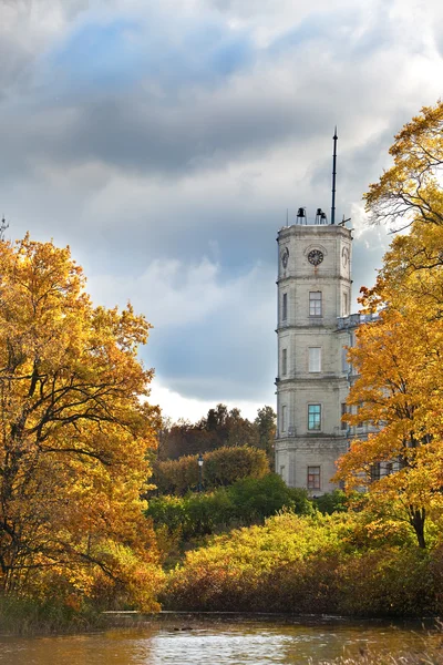 Rosja, gatchina, jasne drzewo jesień w parku, w pobliżu Pałacu — Zdjęcie stockowe