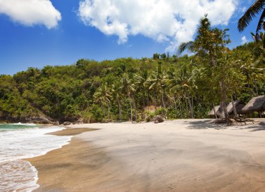 bir okyanus sahilinde palmiyeler. Endonezya. Bali.