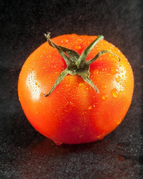 Tomates vermelhos em baixas de água — Fotografia de Stock