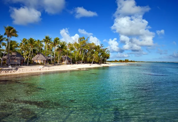 Vista na ilha tropical e pequenas casas — Fotografia de Stock