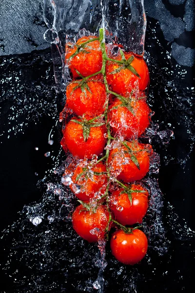 Ramo de tomates em salpicos de água — Fotografia de Stock