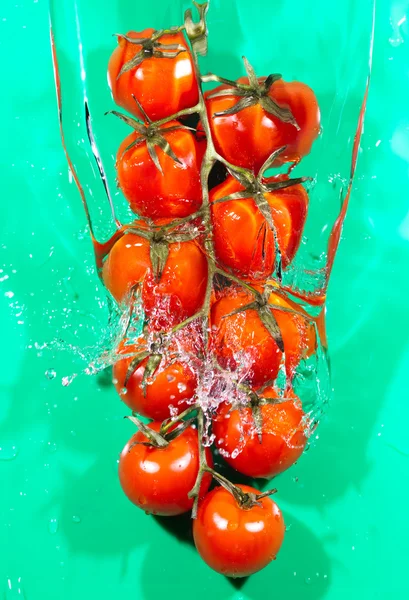 Ramo de tomates em salpicos de água — Fotografia de Stock