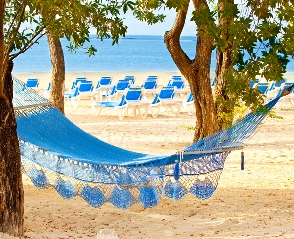 Hangmat tussen bomen en de zee — Stockfoto