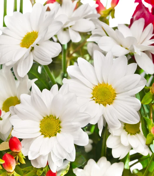 Bright bouquet with chamomiles — Stock Photo, Image