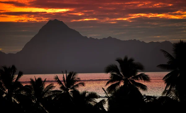 Vista na montanha Orohena ao pôr-do-sol. Polinésia. Taiti. — Fotografia de Stock