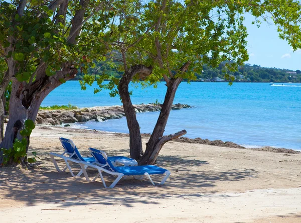 Cadeiras de praia vazias em uma sombra de árvores no mar. Jamaica — Fotografia de Stock