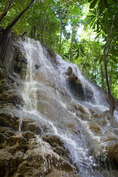 Jamaica. Small waterfalls in the jungle — Stock Photo, Image