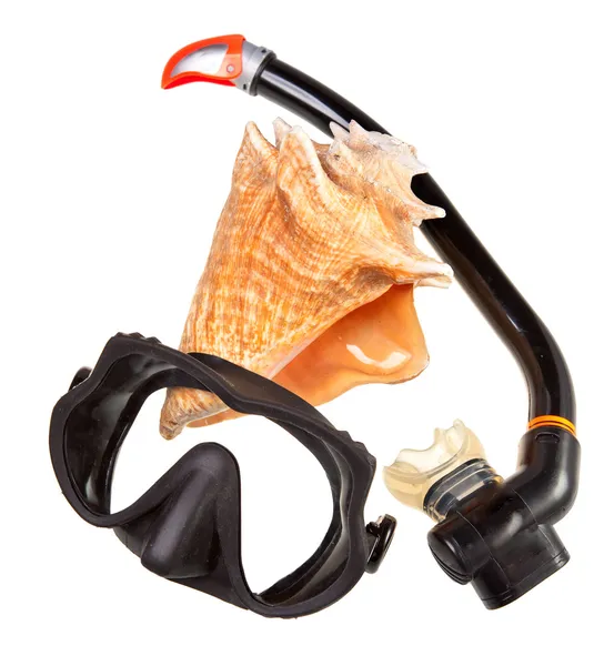 Grande concha do mar e equipamentos para mergulho (snorkel ) — Fotografia de Stock