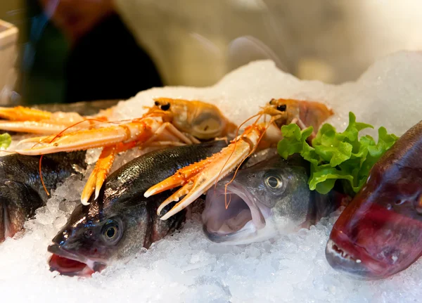 Pesce in ghiaccio su una vetrina — Foto Stock