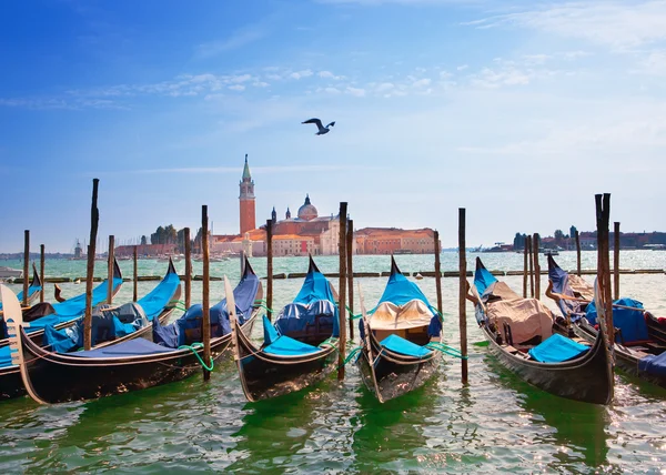 Italie. Venise. Gondoles dans le Canal Grande — Photo