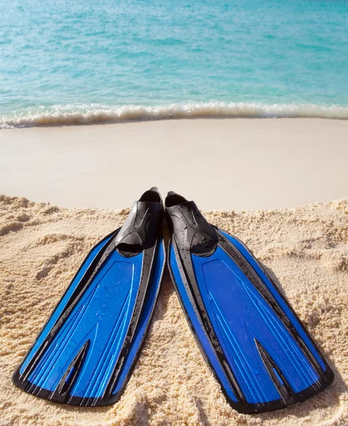 Flippers lay on sand on background of ocean — Stock Photo, Image