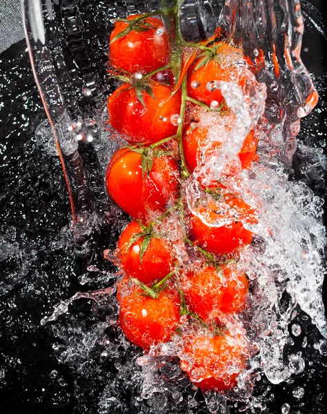 Ramo de tomates em salpicos de água — Fotografia de Stock