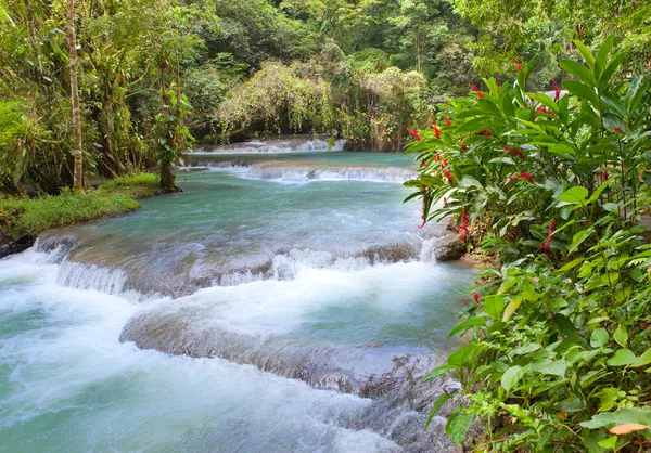 Jamaika. Dunn'ın river Şelaleleri Telifsiz Stok Fotoğraflar