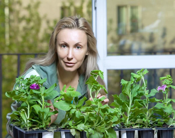 The young woman and box with petunia flowers seedling, focus in the foreground — Stock Photo, Image