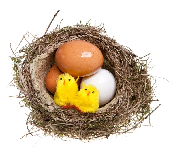 Ptaki gniazdo z jajkami i zabawka kurcząt wewnątrz, na białym — Zdjęcie stockowe