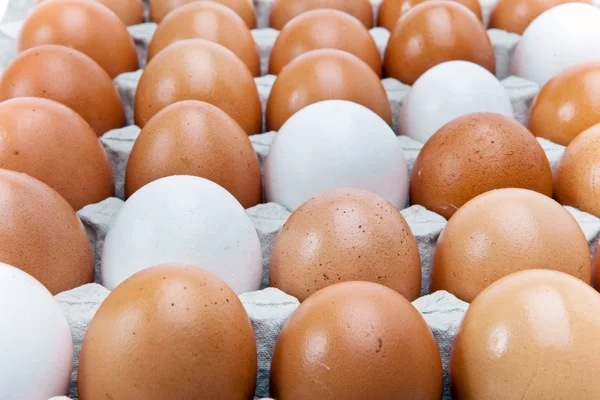 EGGS.Still-livet på en vit bakgrund — Stockfoto