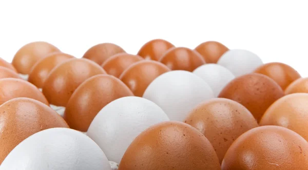 Eggs.Still-ζωή σε λευκό φόντο — Φωτογραφία Αρχείου