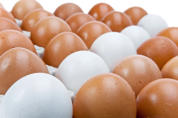 Eggs.Still-ζωή σε λευκό φόντο — Φωτογραφία Αρχείου