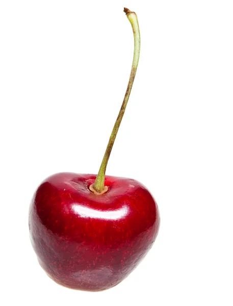 Cereja doce em um fundo branco — Fotografia de Stock