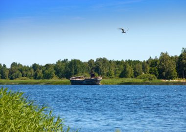 The old cargoship on the river bank Luga. Russia clipart