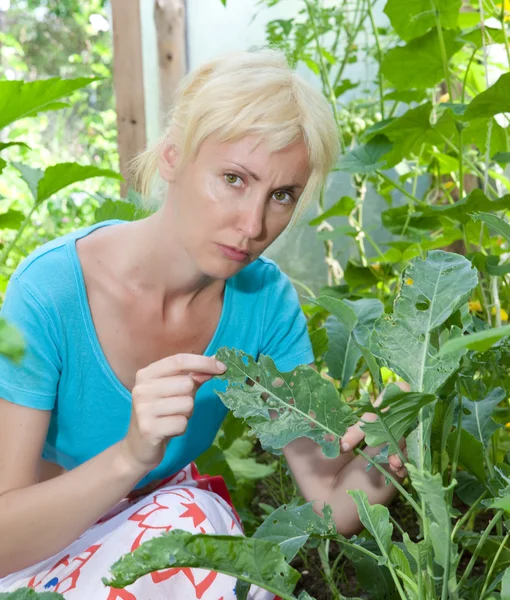 La mujer joven atractiva es molesta - las orugas comen las hojas de la planta — Foto de Stock