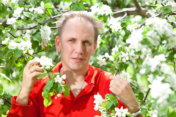 Der attraktive Mann an einem blühenden Apfelbaum — Stockfoto