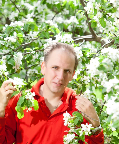 O homem atraente em uma árvore de maçã florescente — Fotografia de Stock