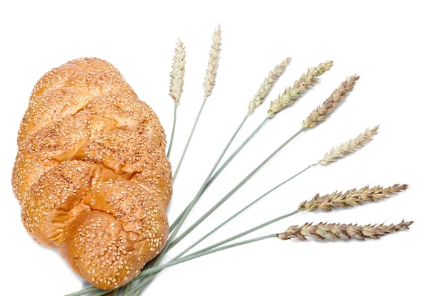 白色背景的小麦和面包 — 图库照片