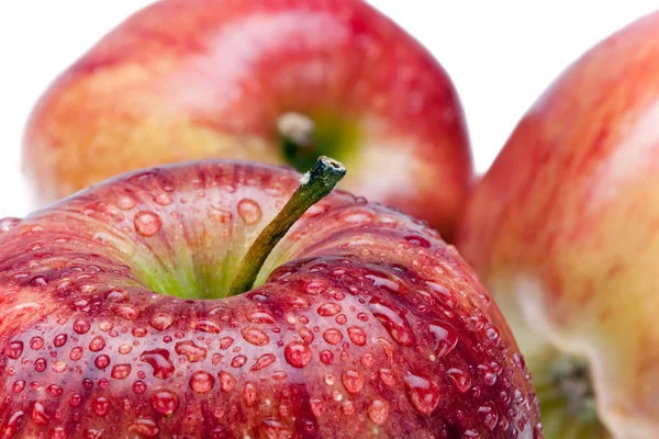 Trois pommes juteuses posées sur fond blanc — Photo