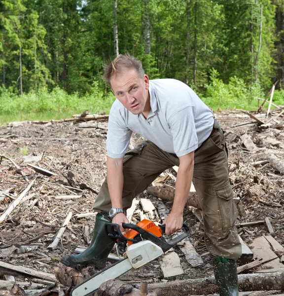 Der Mann im Holz sägt einen Baum mit einer Kettensäge — Stockfoto