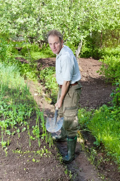 L'uomo dissotterra un letto da giardino con i primi germogli su un cottag estivo — Foto Stock