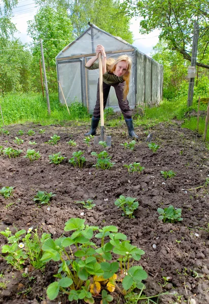 De jonge vrouw Bank een bed met de eerste spruiten op een zomerhuisje — Stockfoto