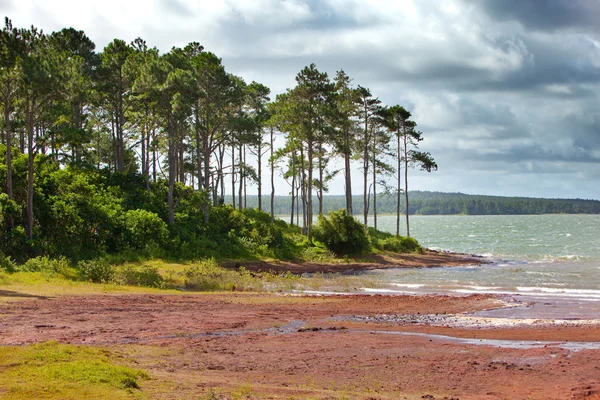 Mare-aux-Vacoas- le plus grand réservoir d'eau de Maurice — Photo