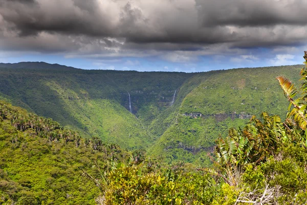 Park "Black River Gorge". Mauritius — Stockfoto