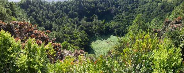 Célèbre lieu touristique mauricien- cratère volcanique Trou aux Cerf — Photo