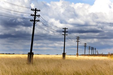 Tarlada eski ahşap elektrikli sütun