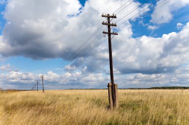 Tarlada eski ahşap elektrikli sütun
