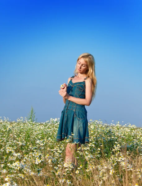 The beautiful happy young woman in the field of chamomile — Stock Photo, Image