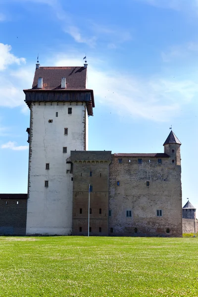 Estonia. Narva. Antigua fortaleza en la frontera con Rusia —  Fotos de Stock