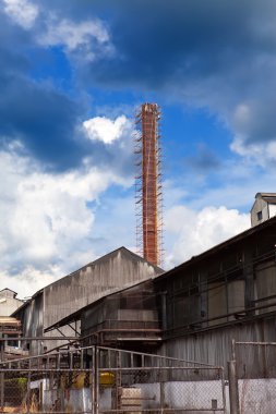 tropikal doğa arasında küçük bir bitki. Jamaika