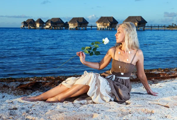 Η νεαρή και όμορφη γυναίκα με ένα τριαντάφυλλο που κάθεται στην άμμο στην άκρη θάλασσα — Φωτογραφία Αρχείου